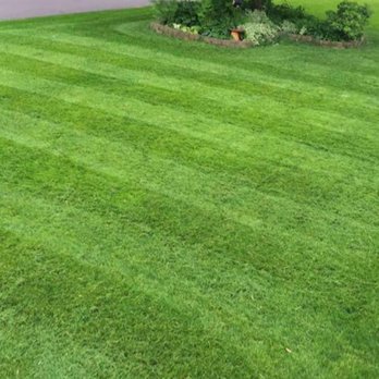 Nice Guys Landscaping - Tree Services Near Me