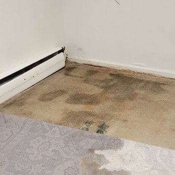Woodward Properties - This is in the corner of my living roo. - Property Management Near Me - Philadelphia, Pennsylvania Woodward Properties - This is in the corner of my living roo. - Property Management Near Me - Philadelphia, Pennsylvania