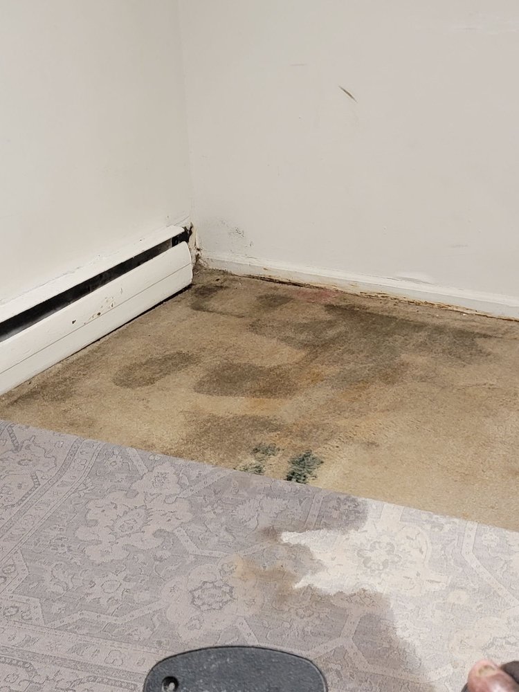 WOODWARD PROPERTIES Updated October 2024 15 Photos 5050