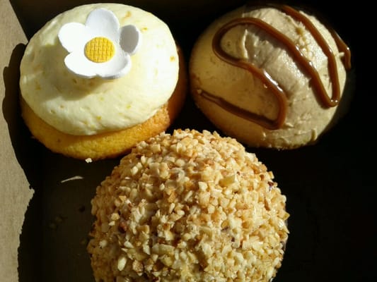 Buttercream Cupcakes & Coffee by null