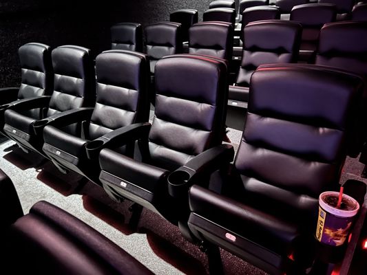 Pollack Cinemas by null