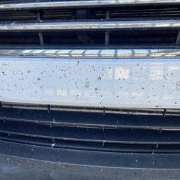Presented to me unwashed and covered in bugs Presented to me unwashed and covered in bugs
