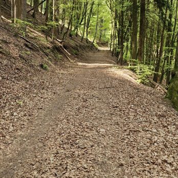 Hubertus-Weg - Wanderweg - Hiking Near Me