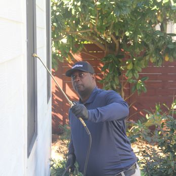 PestNow - Pest Control Near Me - Ijamsville, Maryland PestNow - Pest Control Near Me - Ijamsville, Maryland
