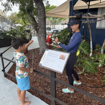 Dolphins Plus Marine Mammal Responder - Aquariums Near Me - Key Largo, Florida Dolphins Plus Marine Mammal Responder - Aquariums Near Me - Key Largo, Florida