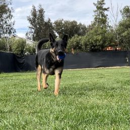 Playtime at Day Care. Playtime at Day Care.