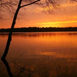 Churchville Park Nature Center - These are without any filter or editing