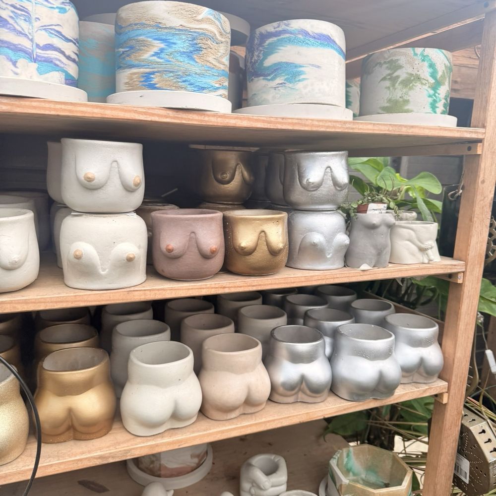 Plants Alive! - Nurseries & Gardening Near Me - Silver Spring, Maryland Plants Alive! - Nurseries & Gardening Near Me - Silver Spring, Maryland
