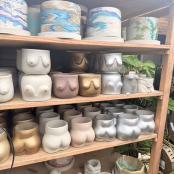 Plants Alive! - Nurseries & Gardening Near Me - Silver Spring, Maryland Plants Alive! - Nurseries & Gardening Near Me - Silver Spring, Maryland