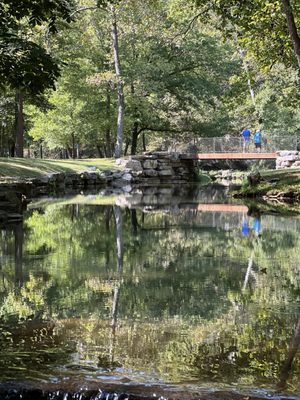 Dogwood Canyon Nature Park by null