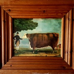 Red Cow - Picture of a red cow