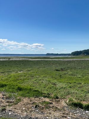 Dosewallips State Park by null