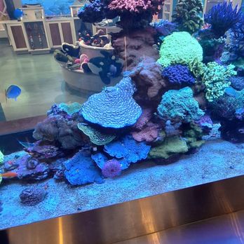 SeaWorld - Toy Stores Near Me - Orlando, Florida SeaWorld - Toy Stores Near Me - Orlando, Florida