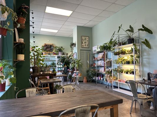 Botanical Cafe by null