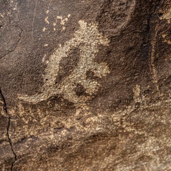 Boca Negra Canyon - Boca Negra Canyon - Petroglyph National Monument - Hiking Near Me - Albuquerque, New Mexico