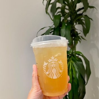 Starbucks - Teavana Shaken Iced Green Tea Lemonade (Grande) - Coffee & Tea Near Me - San Jose, California Starbucks - Teavana Shaken Iced Green Tea Lemonade (Grande) - Coffee & Tea Near Me - San Jose, California