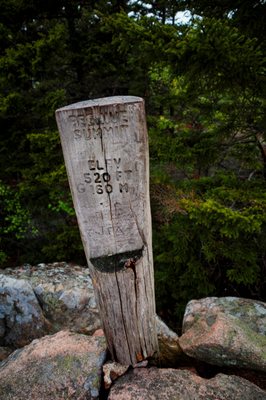 Beehive Trail by null