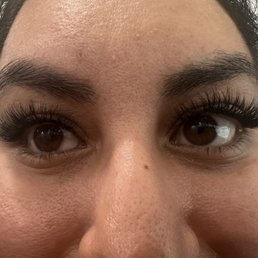 Volume Lashes