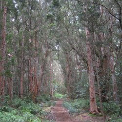 Moalepe Trail