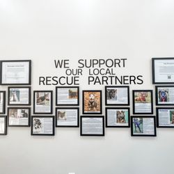 Nova Veterinary Clinic