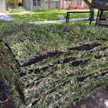 Tropical Precision Lawns - New turf install project in progress - Lawn Services Near Me - Boca Raton, Florida Tropical Precision Lawns - New turf install project in progress - Lawn Services Near Me - Boca Raton, Florida