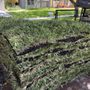 Photo of Tropical Precision Lawns