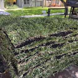 Tropical Precision Lawns - New turf install project in progress
