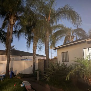 One Way Tree Care - Before - Tree Services Near Me One Way Tree Care - Before - Tree Services Near Me