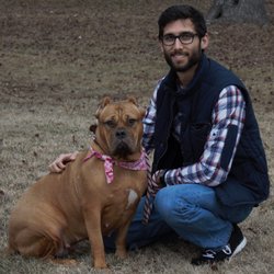 Pawesome Playdates - The gorgeous Lana