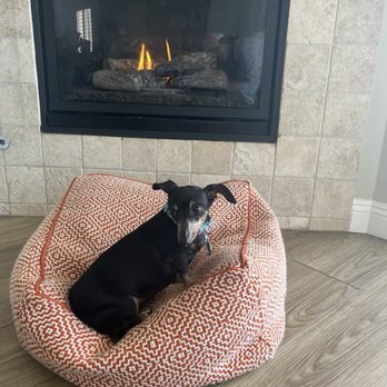 Seashore on the Sand - It's dog friendly! My pup is loving the fireplace - Vacation Rentals Near Me - Carlsbad, California Seashore on the Sand - It's dog friendly! My pup is loving the fireplace - Vacation Rentals Near Me - Carlsbad, California