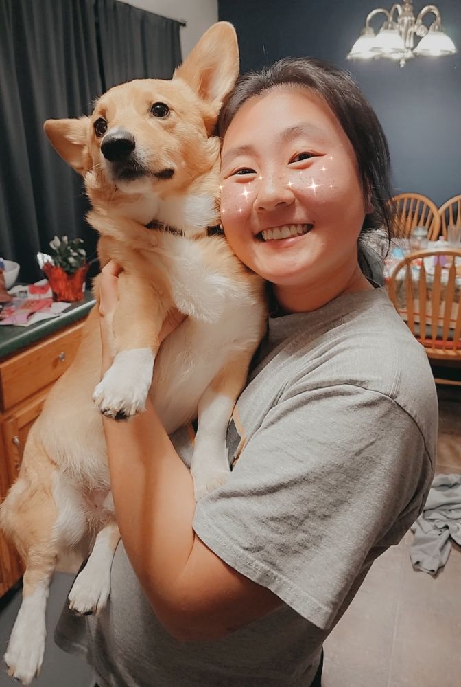 Pet Health Center of Tiffin Image