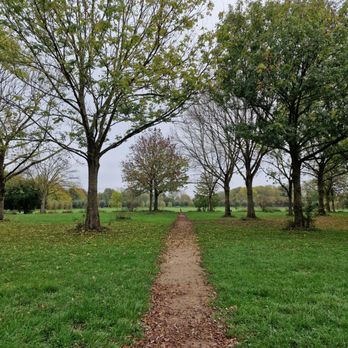 Wasserpark Dove-Elbe - Lakes Near Me - Hamburg, HH