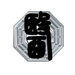 Liying Acupuncture Healing Service - Liying Acupuncture LOGO
