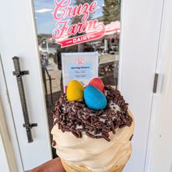 Cruze Farm Ice Cream - Sevierville - Coconut ice cream birds nest