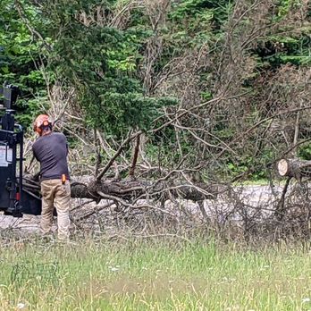 Hoover's Professional Tree Service - Making short work of a dead tree - Tree Services Near Me - Marquette, Michigan Hoover's Professional Tree Service - Making short work of a dead tree - Tree Services Near Me - Marquette, Michigan
