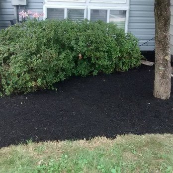 Clean Cuts Lawn Care - Landscaping Near Me