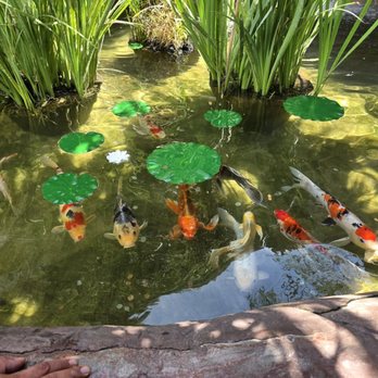 Gladys Porter Zoo - Zoos Near Me - Brownsville, Texas