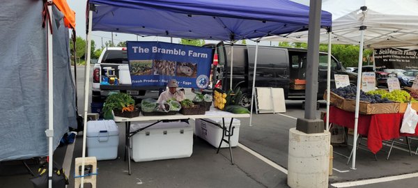 Tamarack Junction Farmers Market by null