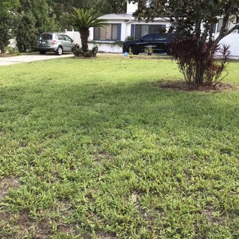 4P Solutions - Mowing, weed pulling, weed whacking, leaf blowing, debris haul off, leaf blowing - Lawn Services Near Me 4P Solutions - Mowing, weed pulling, weed whacking, leaf blowing, debris haul off, leaf blowing - Lawn Services Near Me