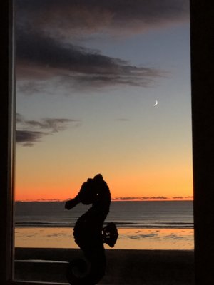 Starfish Point by null