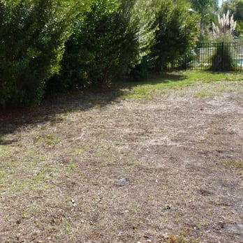Hover Girl Properties - Hover Girl Properties - Promised their Homeowner would re sod our back yard. Never happened. - Property Management Near Me - Jacksonville, Florida Hover Girl Properties - Hover Girl Properties - Promised their Homeowner would re sod our back yard. Never happened. - Property Management Near Me - Jacksonville, Florida
