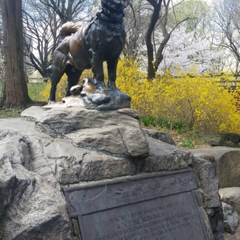 Central Park Conservancy - Balto statue. Pretty cool story! - Parks Near Me - New York, New York Central Park Conservancy - Balto statue. Pretty cool story! - Parks Near Me - New York, New York