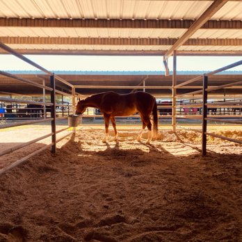 Tin Top Creek Equine Facility - 12 x 26 stalls - Horse Boarding Near Me - Weatherford, Texas Tin Top Creek Equine Facility - 12 x 26 stalls - Horse Boarding Near Me - Weatherford, Texas