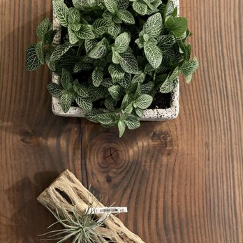 Kent East Hill Nursery - Nurseries & Gardening Near Me - Kent, Washington