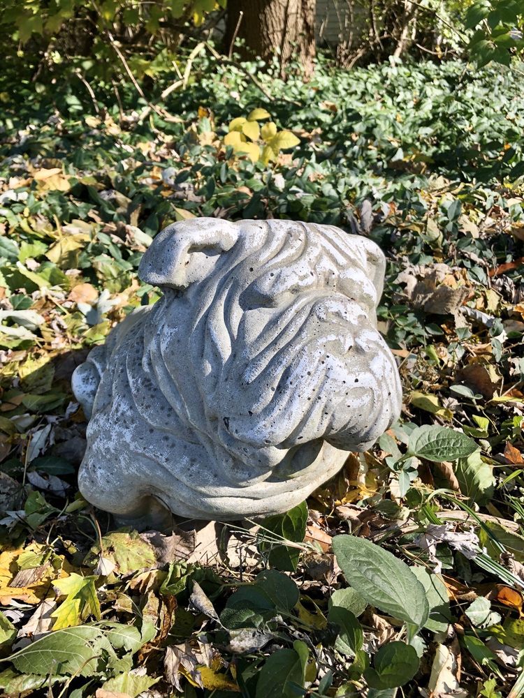 Fitness Farm - wedding in Indianapolis, IN