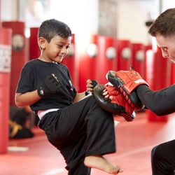 Tiger Schulmann's Martial Arts - Rockville Centre