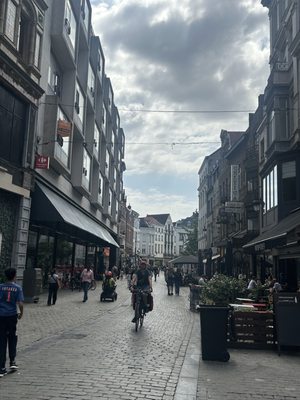 Woodpecker 47 by null