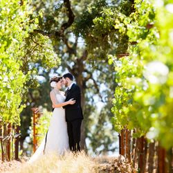 Gearhart Photo - A wedding in the grapes at Arista Winery in Healdsburg, CA