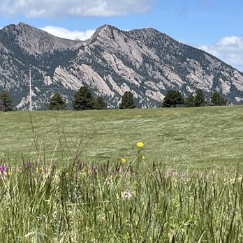 Flatirons Vista Trail - A landscape featuring mountains in the background, a green grassy field, and wildflowers in the foreground, with a partly cloudy sky. - Hiking Near Me - Boulder, Colorado