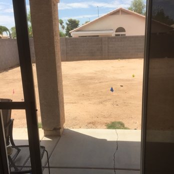 Pristine Green - Tree Services Near Me - Gilbert, Arizona